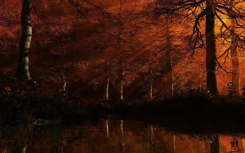Forest at Sunset — Orange, Dramatic, Digital Art