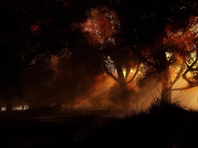 Forest at Sunset — Orange, Dramatic, Digital Art, Trees, Sunlight