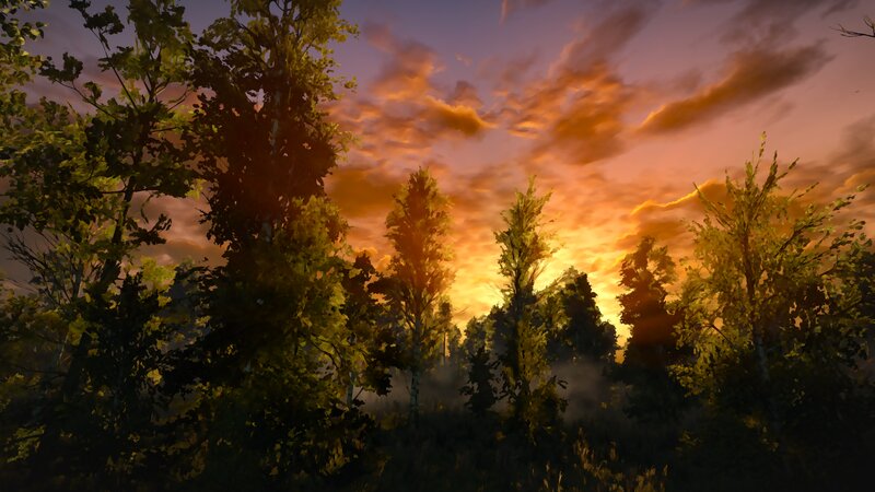 Forest at Sunset — Orange, Serene, 3d Render
