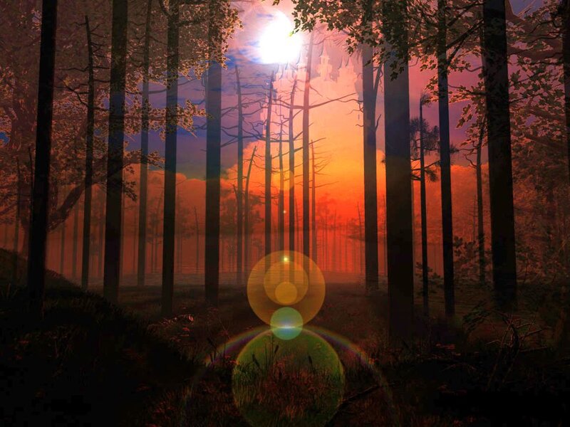 Forest at Sunset — Orange, Serene, Digital Art