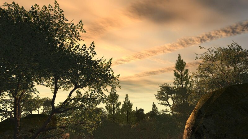 Forest at Sunset — Orange, Serene