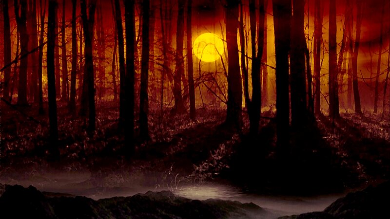 Forest at Sunset — Red