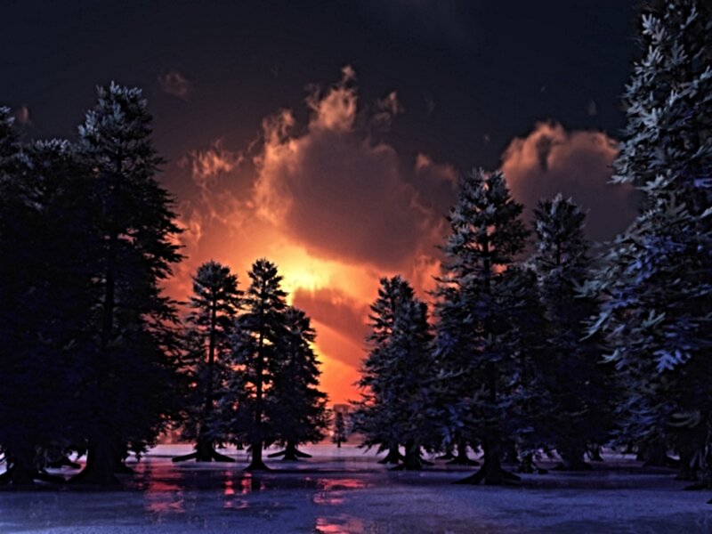 Forest at sunset with glowing sky