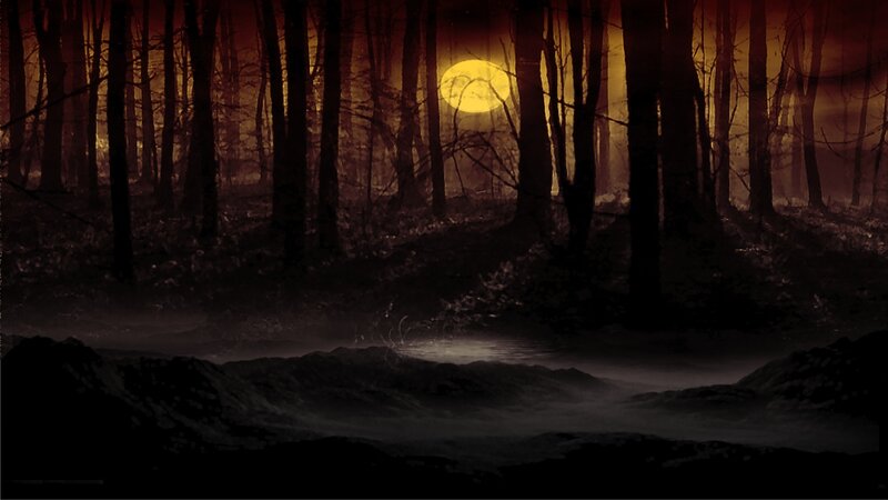 forest at sunset with moon