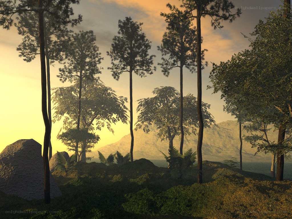 Forest at sunset with mountains