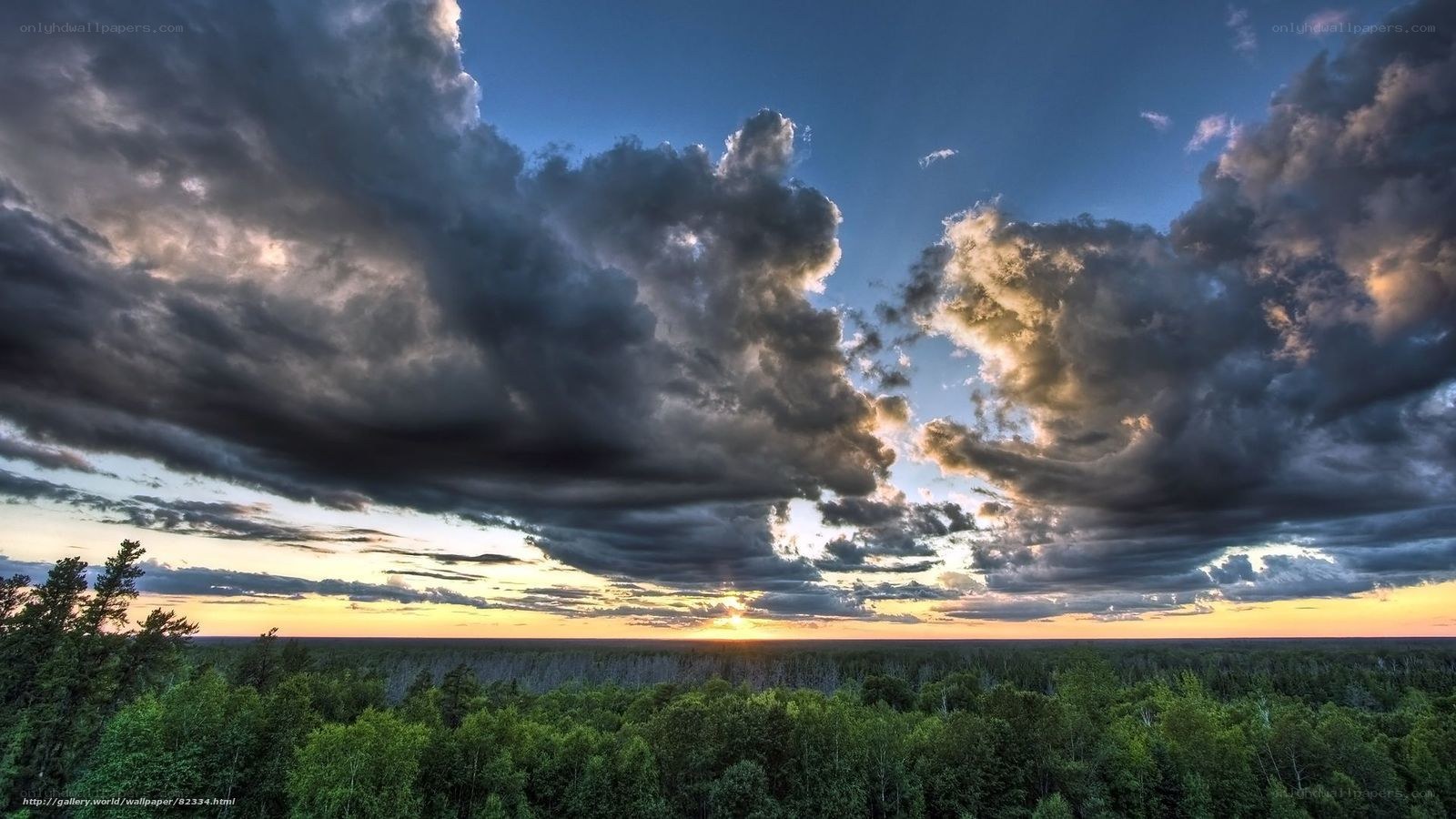 Forest at Sunset with Storm Clouds