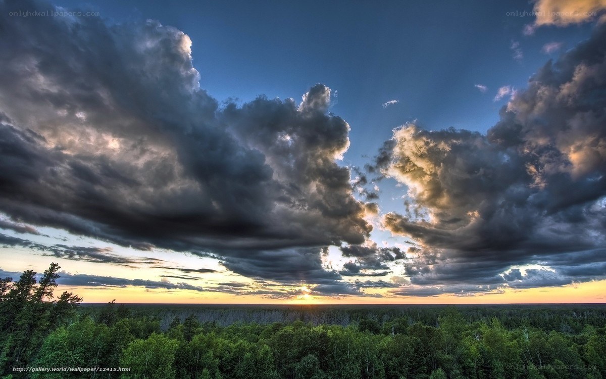 Forest at Sunset with Storm Clouds