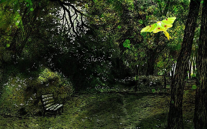 Forest bench with glowing moth