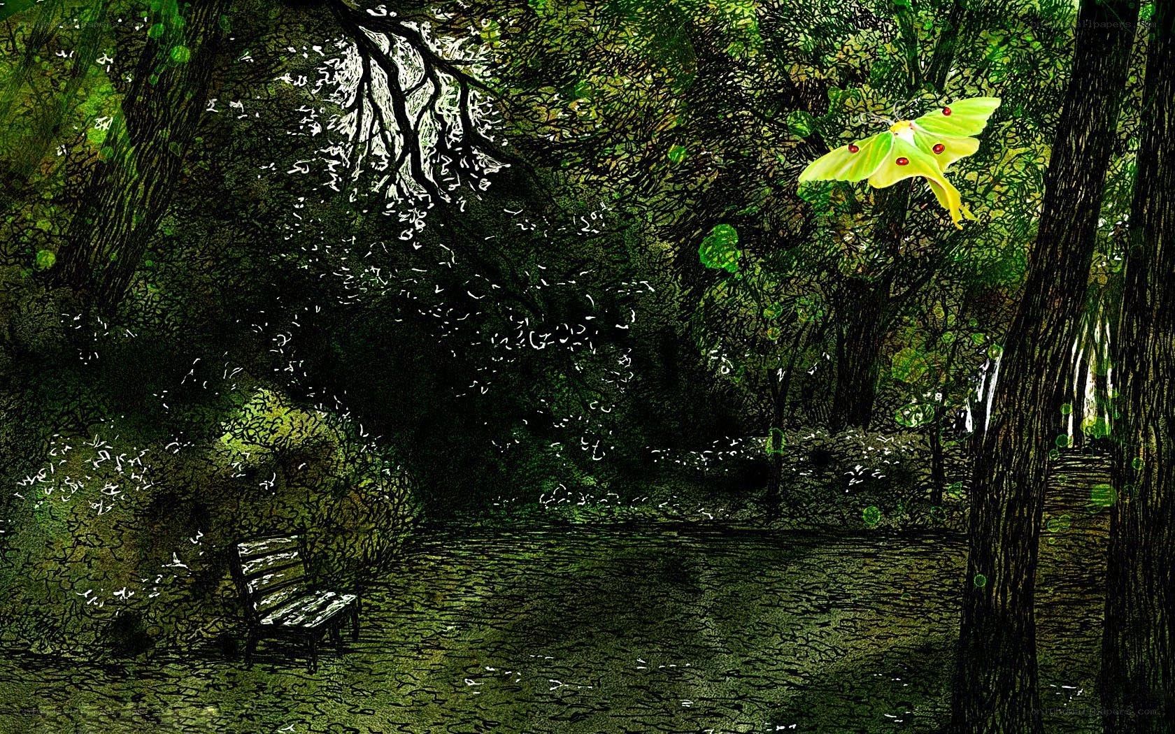 Forest bench with glowing moth