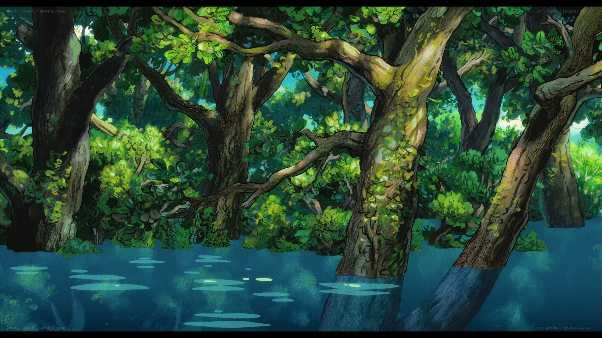 Forest by the water