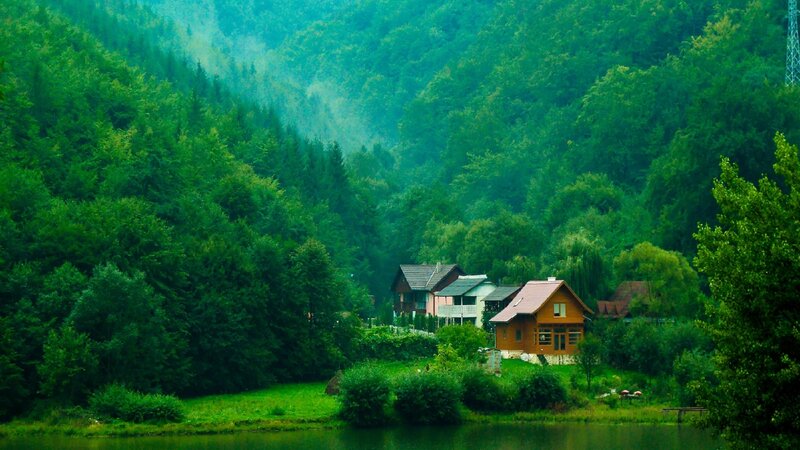 Forest cabin by the lake