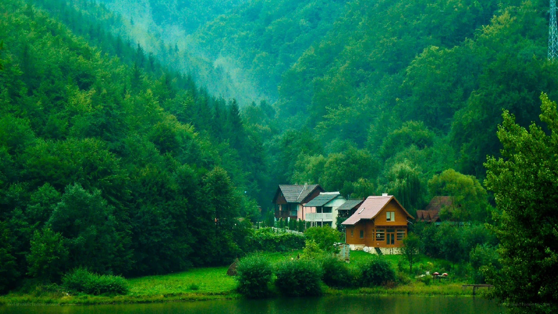 Forest cabin by the lake