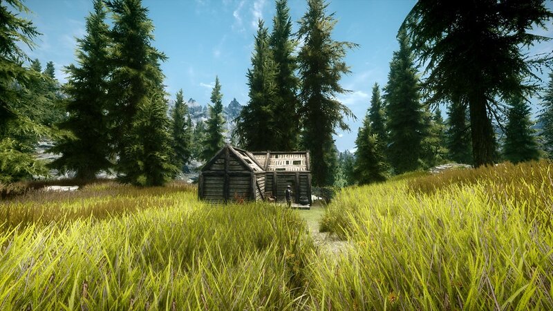 forest cabin in a clearing