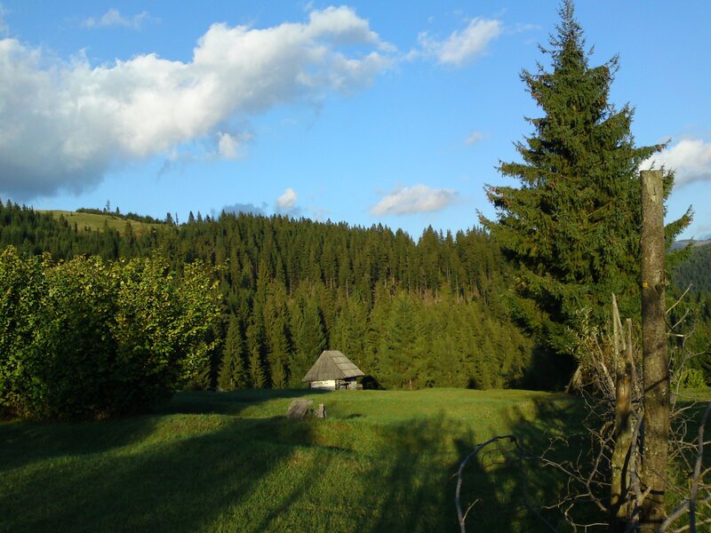 Forest cabin in a mountain valley