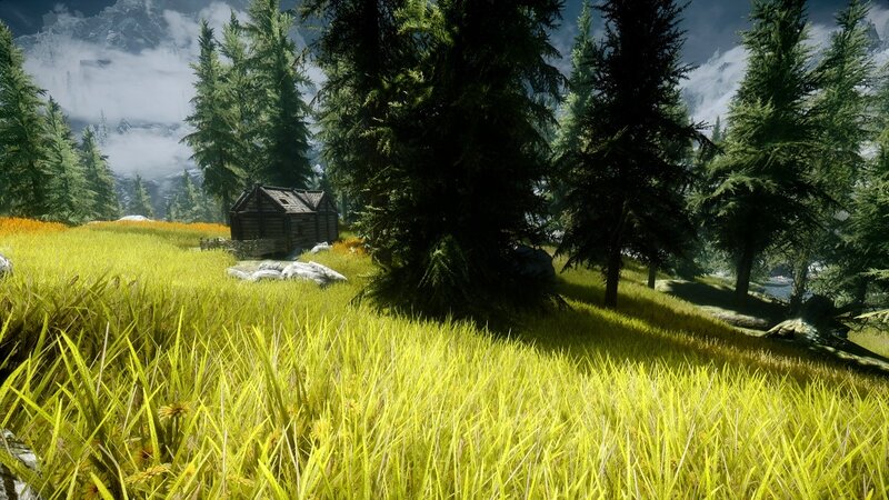 forest cabin in mountain valley