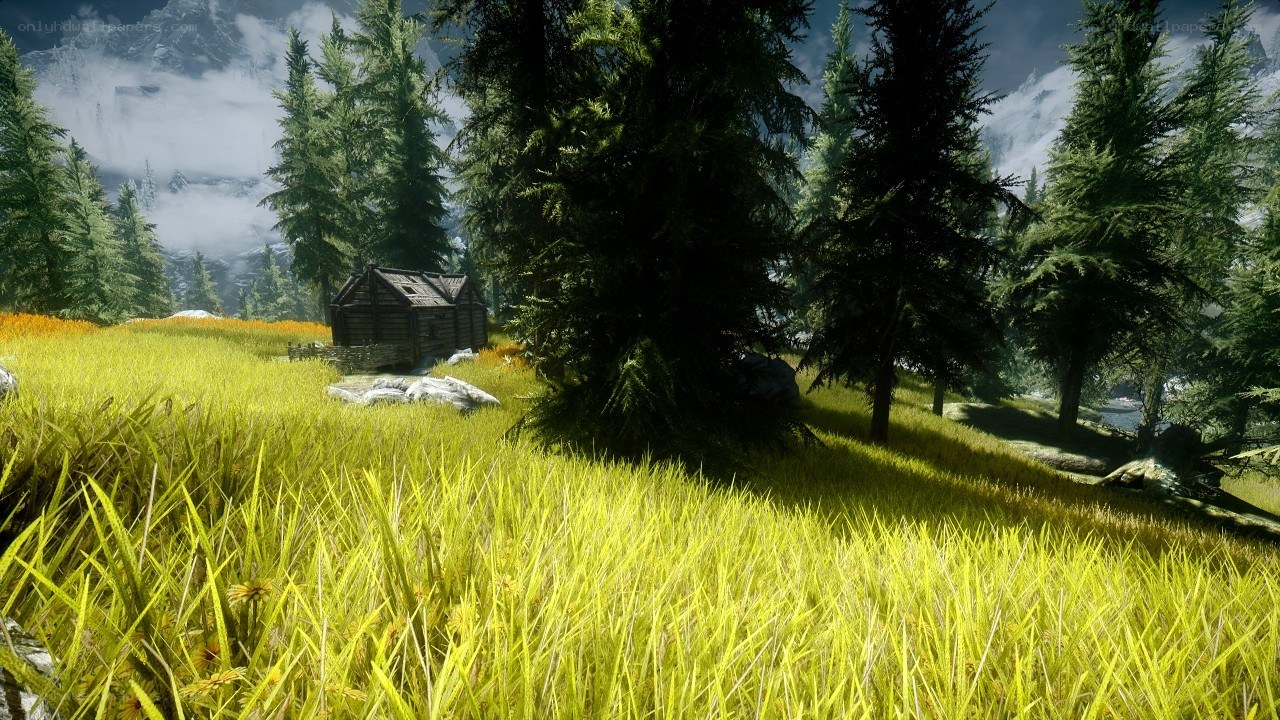 forest cabin in mountain valley