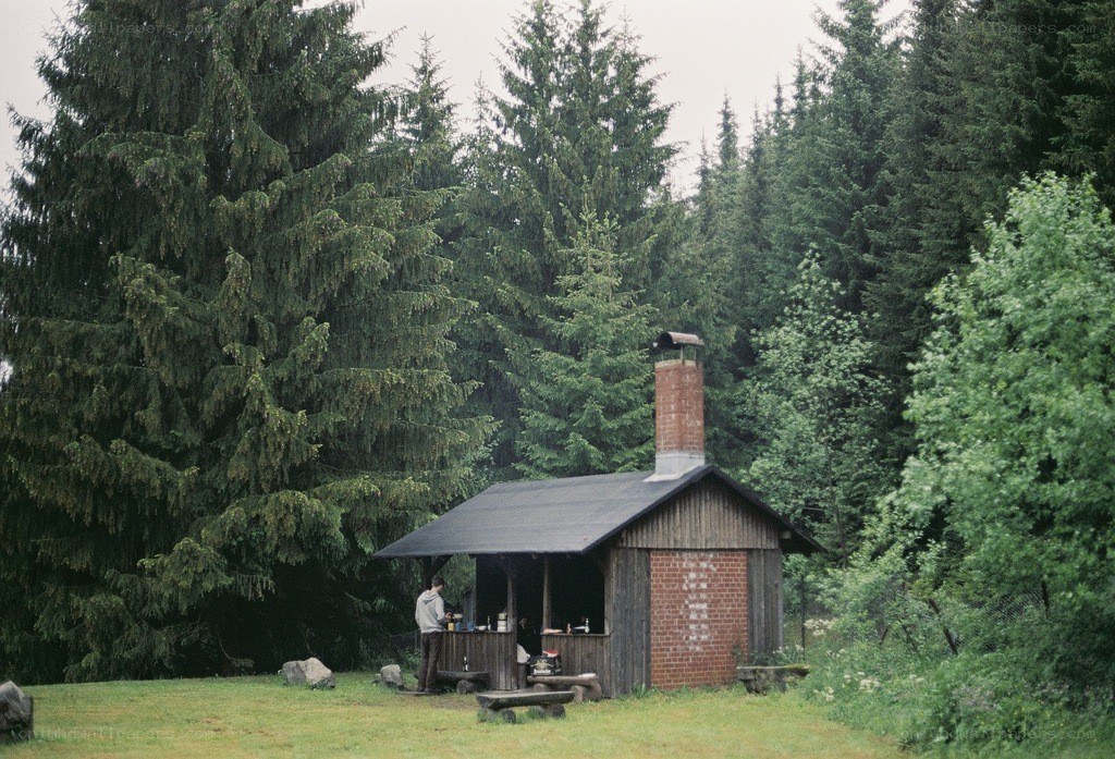 Forest cabin with chimney
