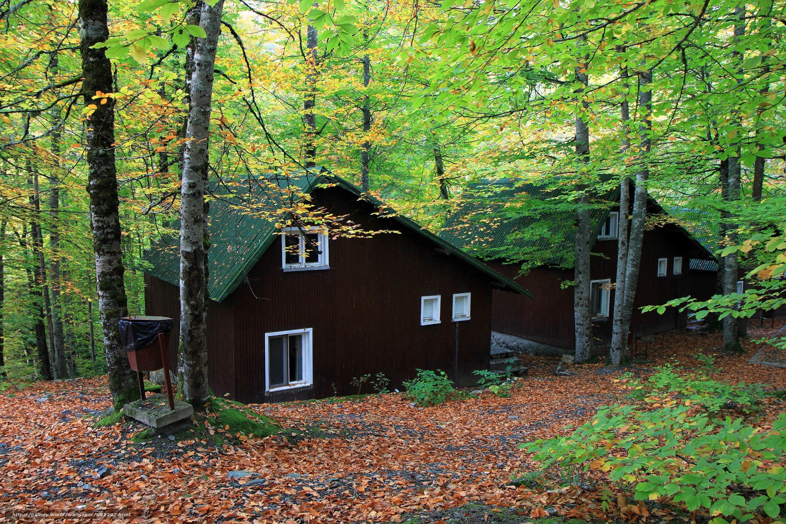 Forest cabins in autumn