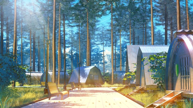 Forest Cabins in Sunlight