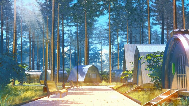 Forest camp with modern cabins