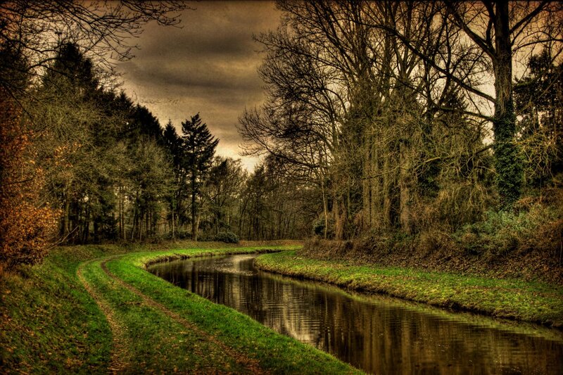 Forest canal on a cloudy day