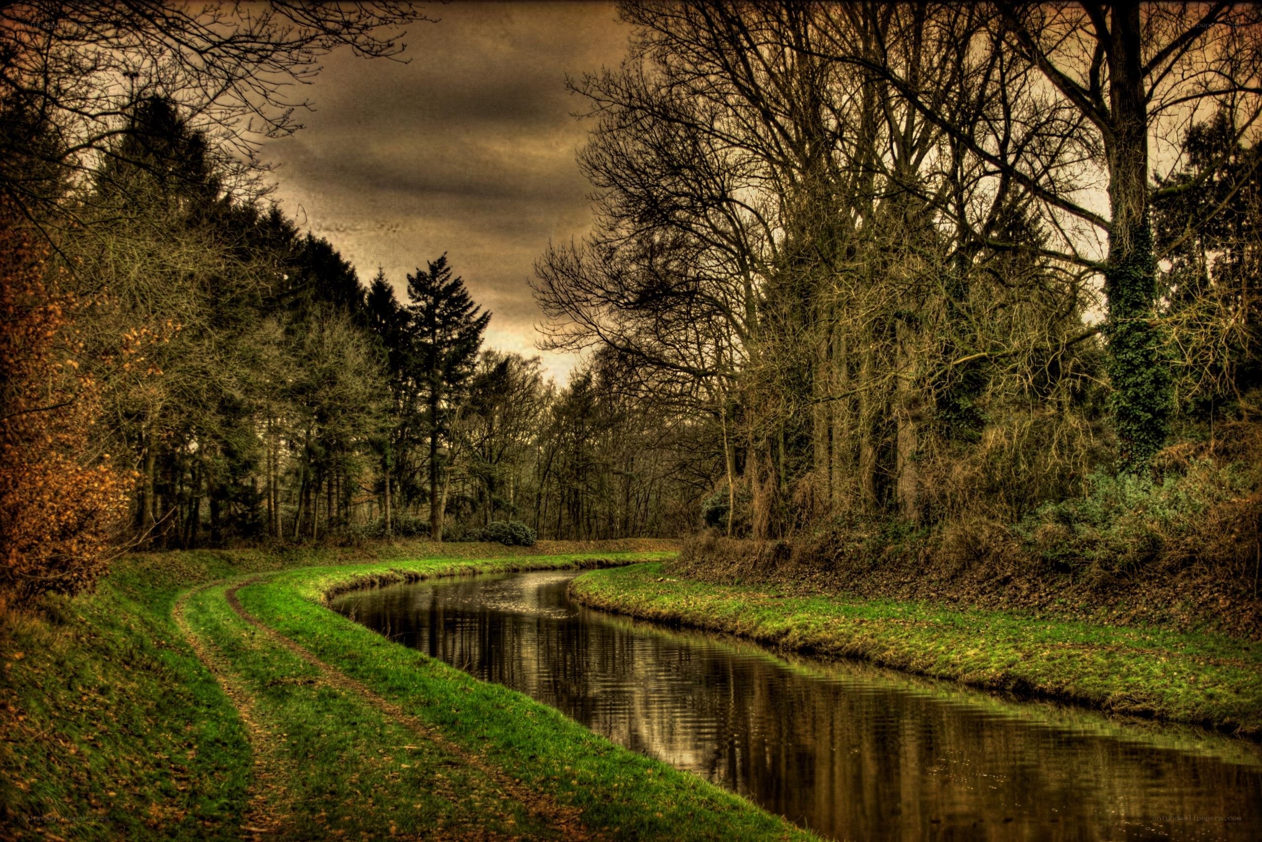 Forest canal on a cloudy day