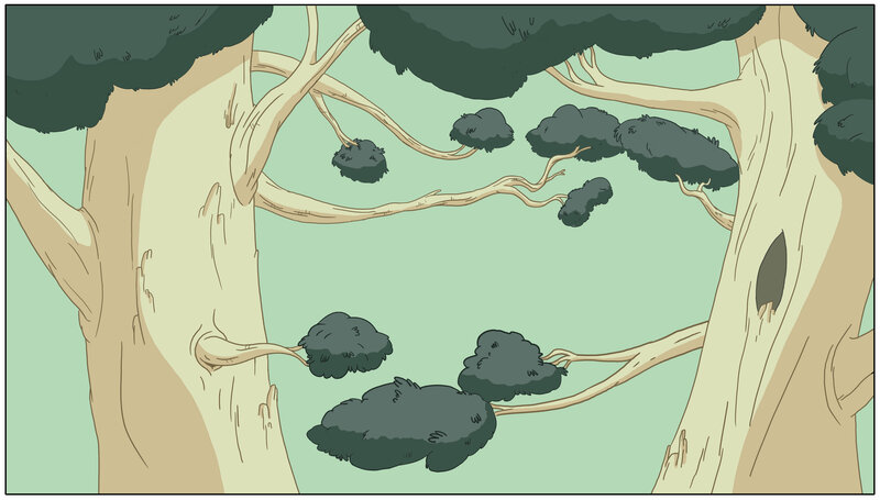 forest canopy view