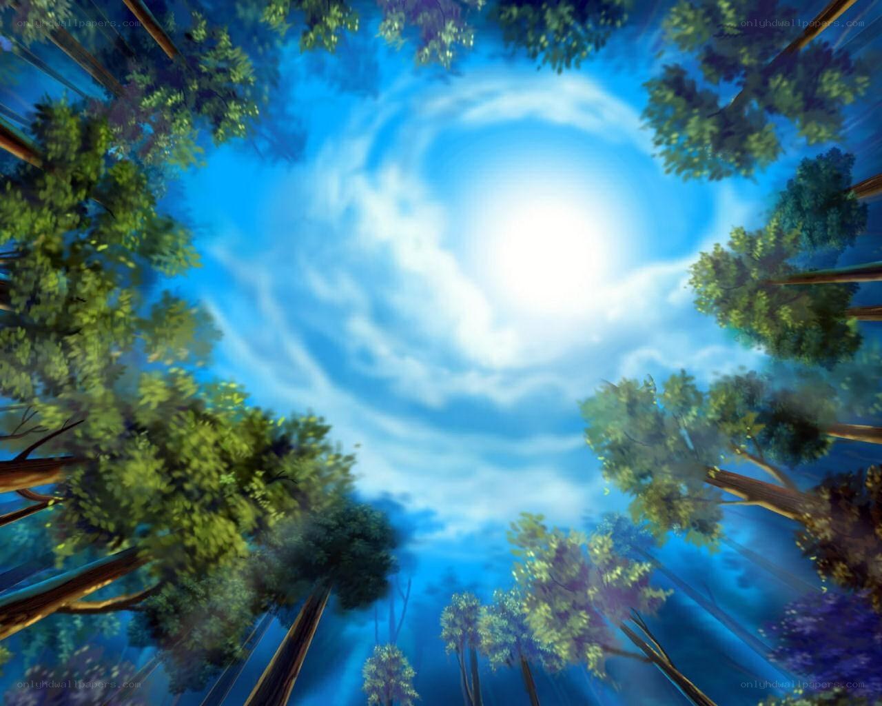 Forest canopy view of sun