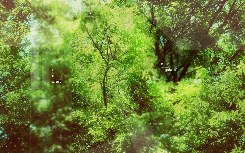 Forest canopy with text overlay