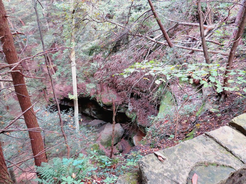 Forest Cave Entrance — Green, Natural, Autumn