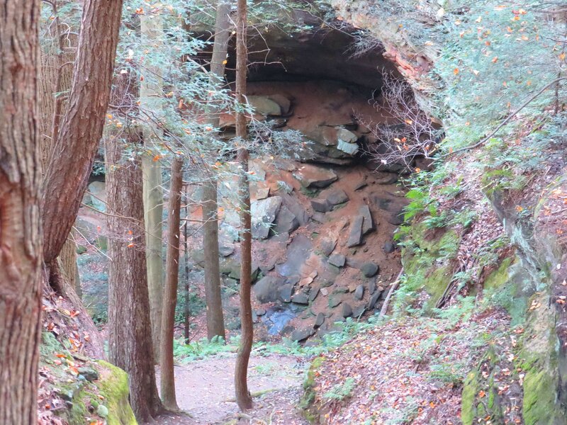 Forest Cave Entrance — Green, Natural