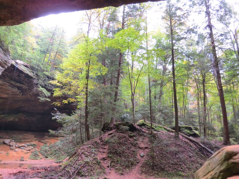 Forest Cave Entrance — Green