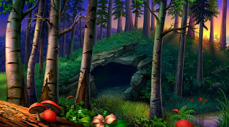 Forest Cave Entrance