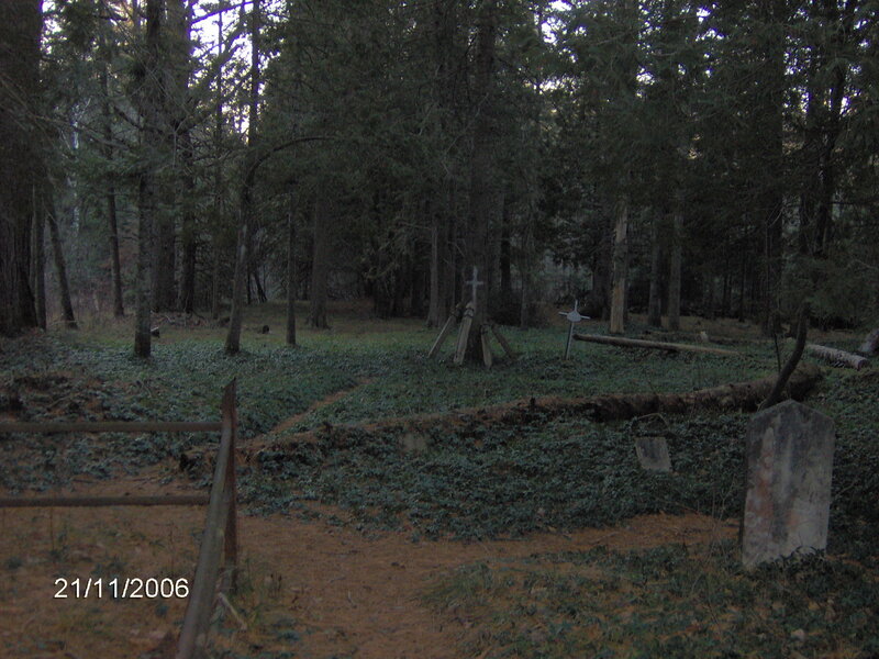 Forest cemetery with crosses
