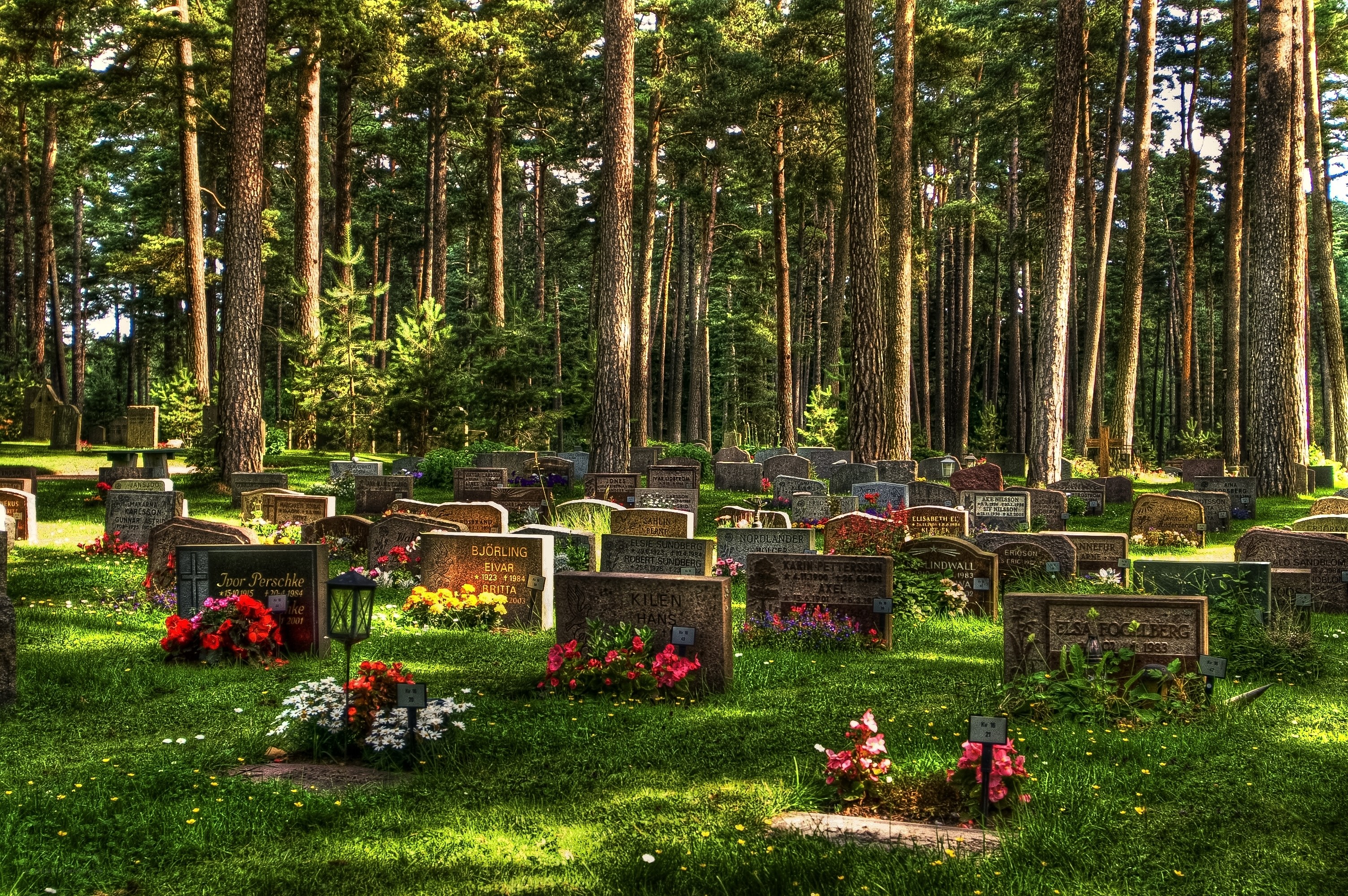 Forest cemetery with gravestones