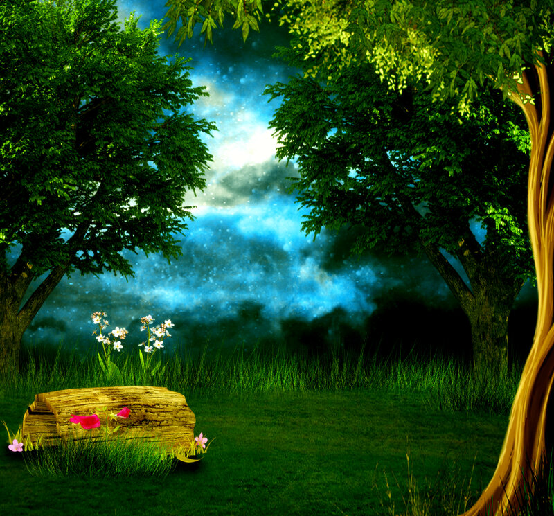 Forest Clearing at Night