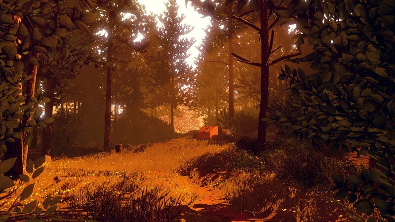 Forest Clearing at Sunset — Orange
