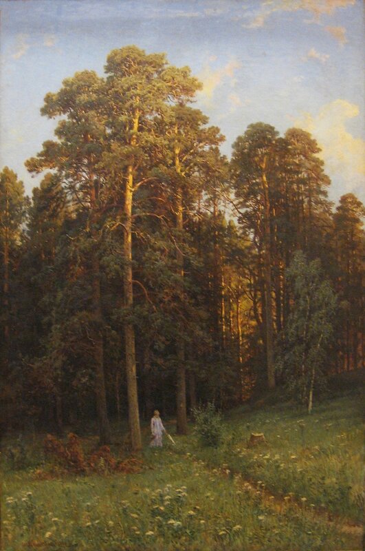 Forest clearing with a figure