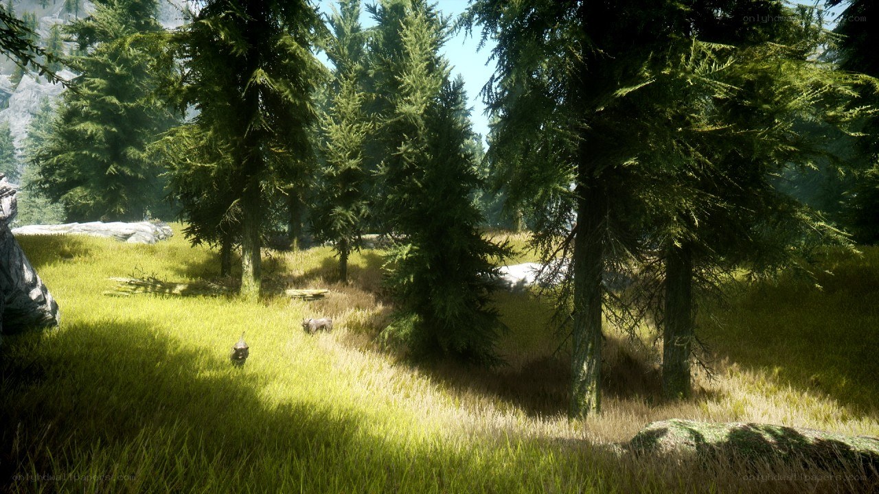 forest clearing with animals