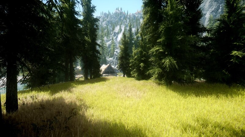 forest clearing with cabin