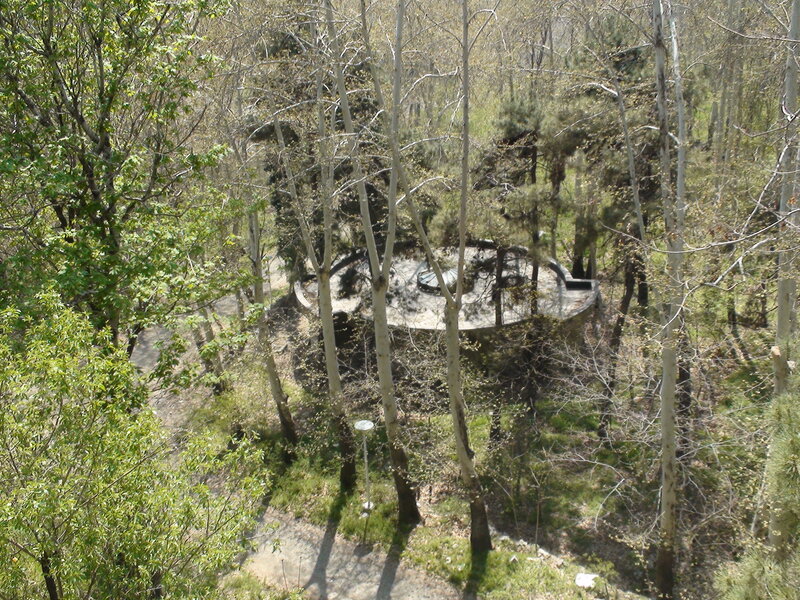 forest clearing with circular structure