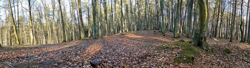 Forest clearing with cross