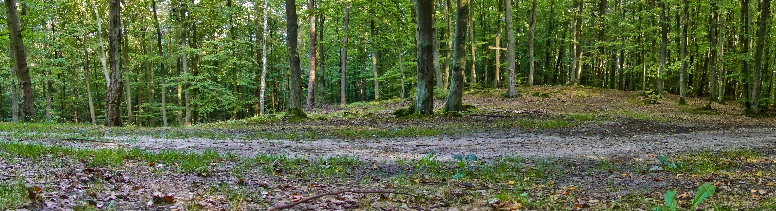 Forest clearing with cross
