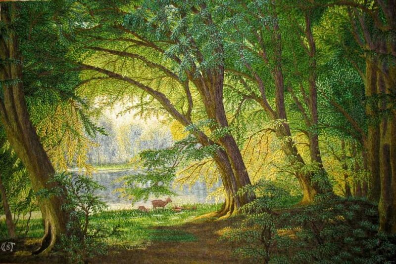 Forest clearing with deer