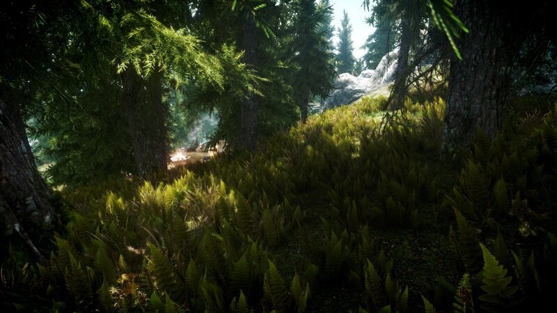 Forest Clearing with Ferns — Green