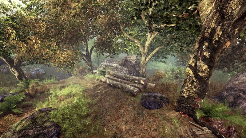 Forest Clearing with Logs — Green