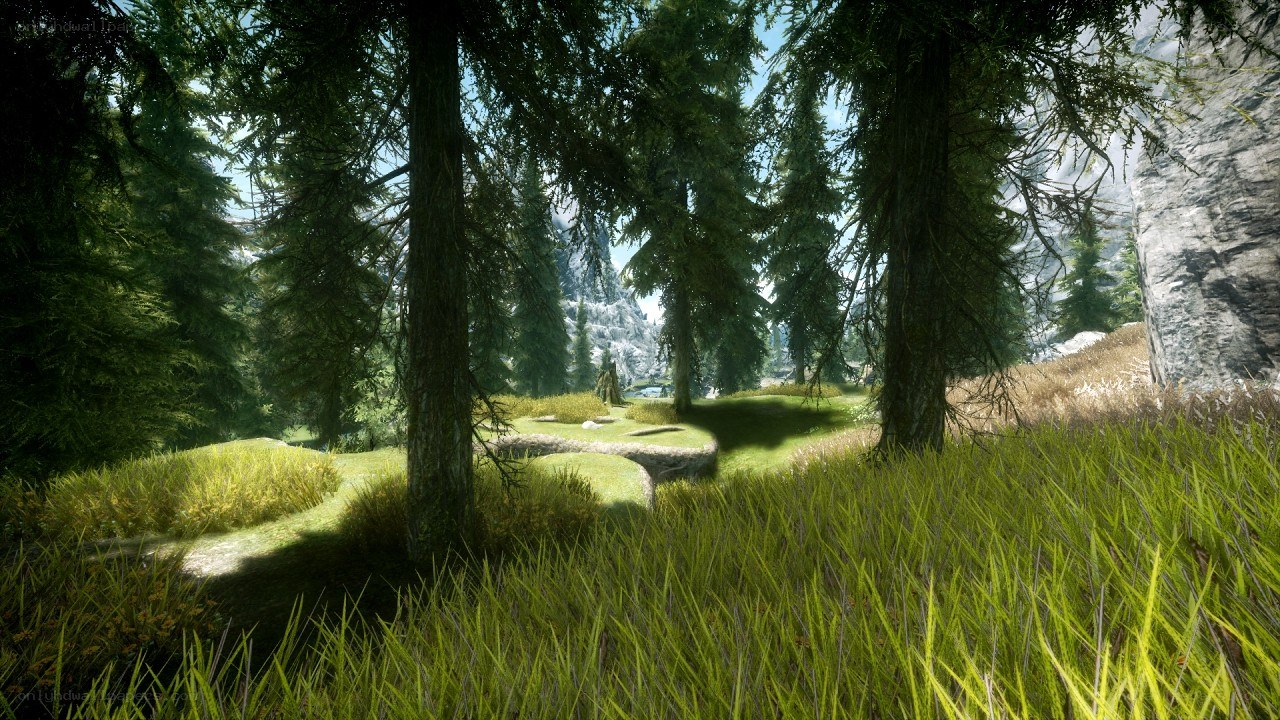 forest clearing with mountains