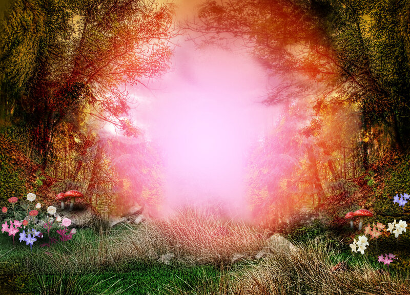 Forest Clearing with Mushrooms