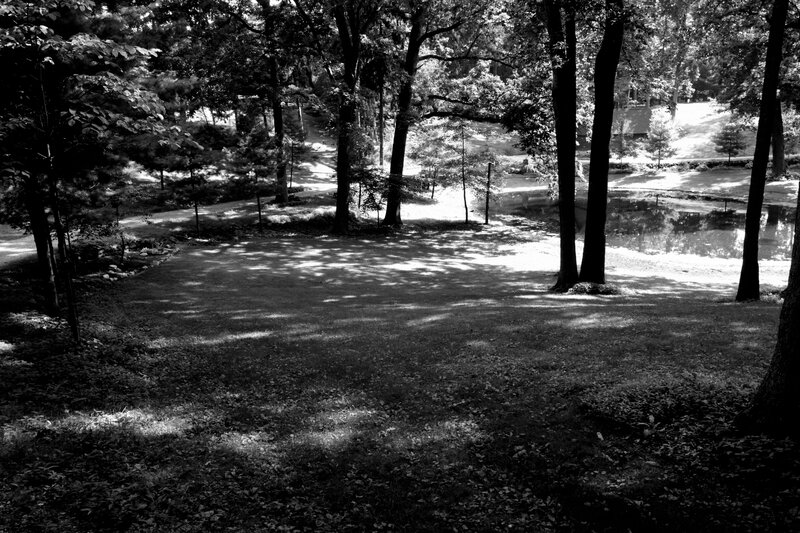 Forest Clearing with Pond — Black