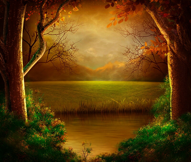 Forest Clearing with Pond — Green